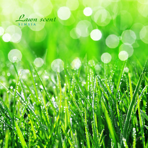 햇살이 머금은 온기 (The warmth of sunshine)