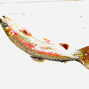 All into Loose (Explicit)