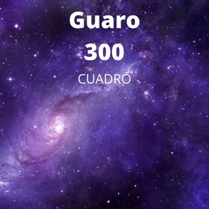 Guaro 300