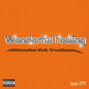 Wonderful Feeling (Explicit)