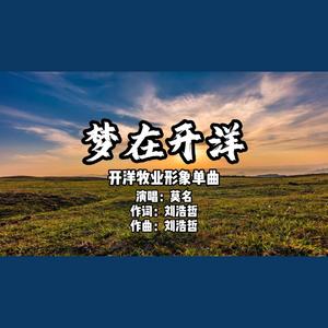 梦在开洋 (Remix)