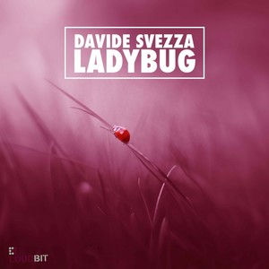 Ladybug (Original Mix)
