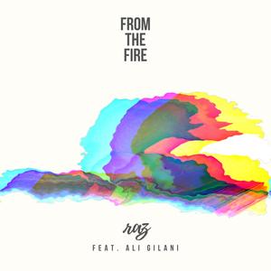 From the Fire (feat. Ali Gilani)