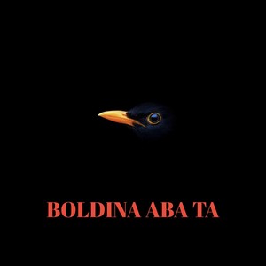 BOLDINA ABA TA