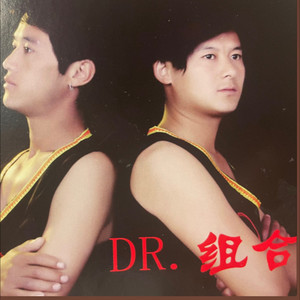 D.R组合     阿达古