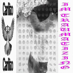 the code (Explicit)
