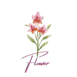 Flower (feat. AnoN & HELLY)