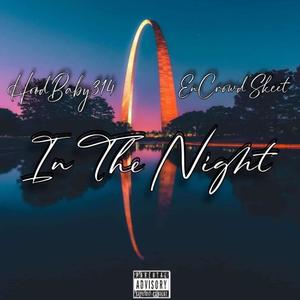 IN THE NIGHT (feat. Skeet) (Explicit)