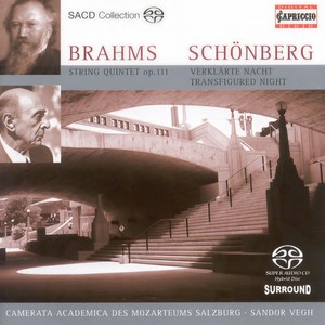 String Quintet No. 2 in G Major, Op. 111 - I. Allegro non troppo, ma con brio (Arr. For String Orchestra)