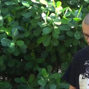 unconcerned (Explicit)