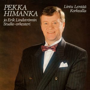 Lintu lentää korkealla