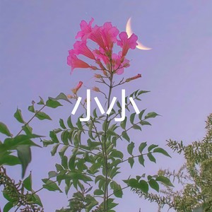 桥边姑娘 (暴躁版)