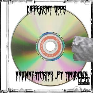 Different Opps (feat. Tinydown) [Explicit]