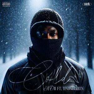 Cold (feat. dndSection) [Explicit]