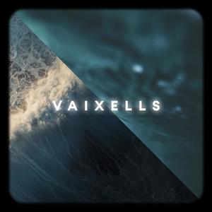 Vaixells