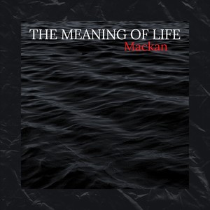 The meaning of life