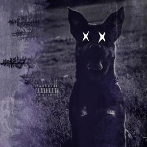 Dim 3 (Explicit)