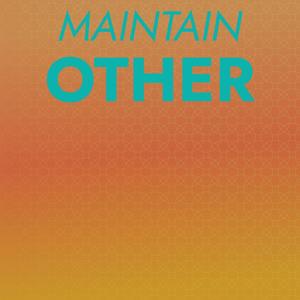 Maintain Other