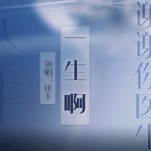 一生啊——电视剧《谢谢你医生》同人曲