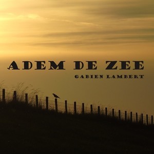 Adem De Zee