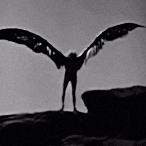 Black Wings