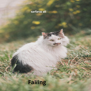 Falling