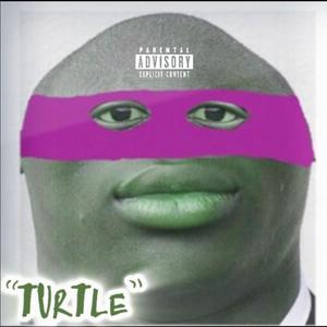 Turtle (Explicit)