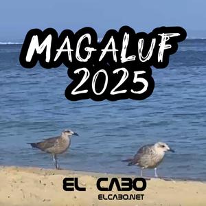 Magaluf 2025