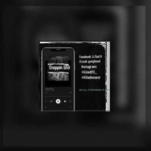 Steppin Shit(feat. B.I.G Head) (Explicit)