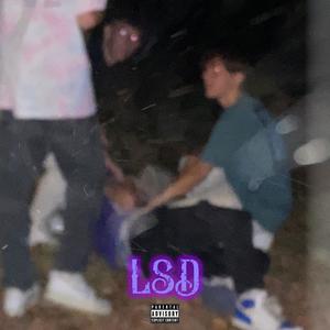 LSD (feat. uepacio) [Explicit]