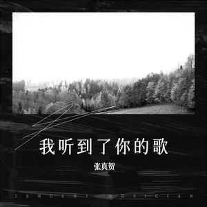 张真贺 - 我听到了你的歌