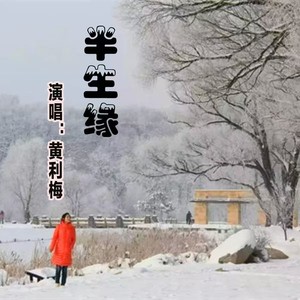 半生缘