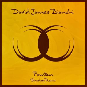 Fountain (Shisdess Radio Edit)