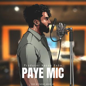 Paye Mic