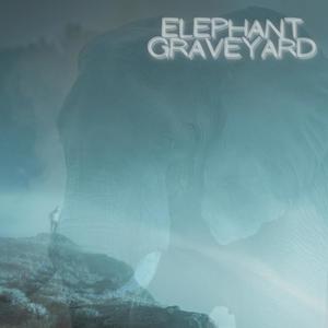 Elephant Graveyard