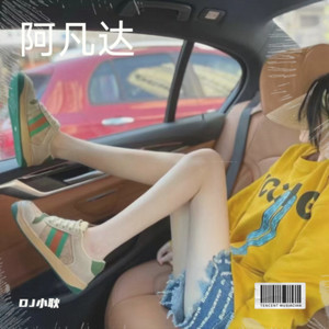 兰花香十里 (DJ小耿 remix)