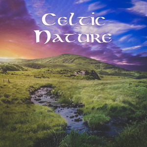 Celtic Nature: Relaxing Harp Music, Spa, Meditation & Pure Calm