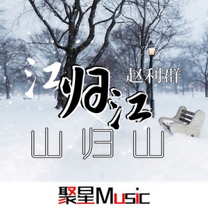 赵利群 - 忆当年夺山河 (Remix)