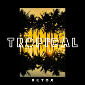 Tropical Detox: Hot Summer, Dancing Waves, Swaying Palm Trees, Refresh Breeze, Relaxing at the Beach