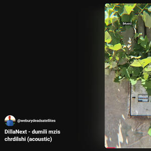 dumili mzis chrdilshi