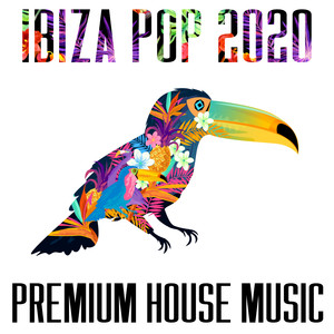 Ibiza Pop 2020 - Premium House Music (Explicit)