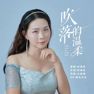 吹落的温柔 (伴奏)