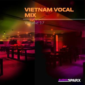 Vietnam Vocal Mix Volume 17