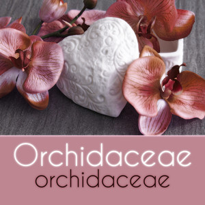 Orchidaceae