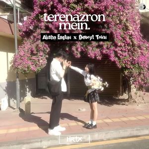 terenazronmein. (From 