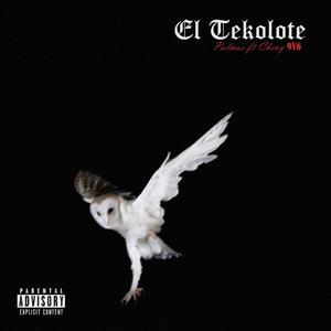 El Tekolote(feat. Chevy9V6) (Explicit)
