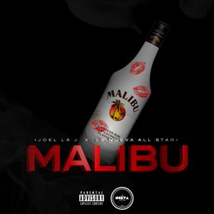 Malibu (feat. Joel La J) (Explicit)
