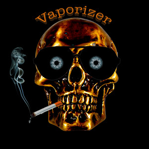 Vaporizer
