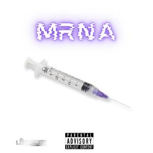 mRNA (Explicit)