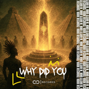 Why Did You